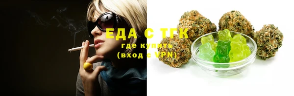 гидра Богданович