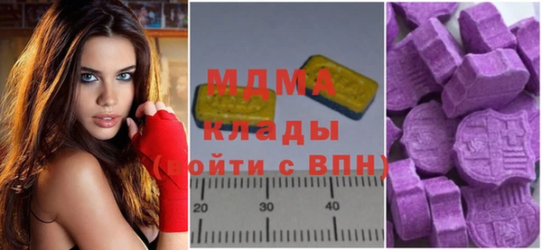 гидра Богданович