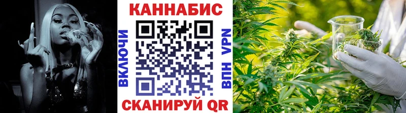Конопля гибрид  Кирово-Чепецк 